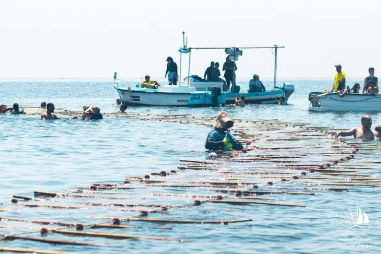 La damassa de Kerkennah: quand la mémoire de la mer devient un patrimoine vivant